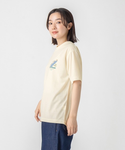 L.L.Bean(エルエルビーン)の「【JAPAN EDITION】ドーバー・フォックスクロフト・ショートスリーブ・ティ(Tシャツ/カットソー・レディース・ホワイト系2/ホワイト系1/ホワイト系・MEDIUM)」の4枚目の写真