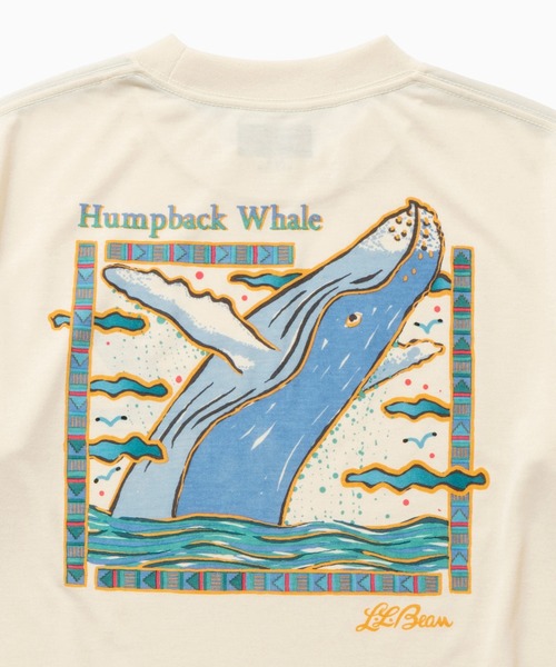 L.L.Bean(エルエルビーン)の「【JAPAN EDITION】ドーバー・フォックスクロフト・ショートスリーブ・ティ(Tシャツ/カットソー・レディース・ホワイト系2/ホワイト系1/ホワイト系・MEDIUM)」の13枚目の写真