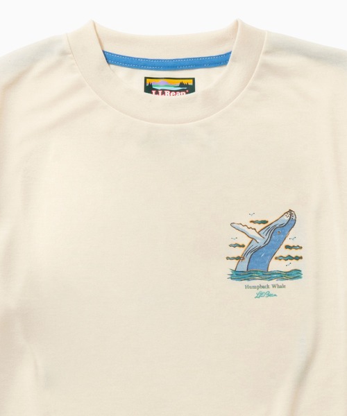 L.L.Bean(エルエルビーン)の「【JAPAN EDITION】ドーバー・フォックスクロフト・ショートスリーブ・ティ(Tシャツ/カットソー・レディース・ホワイト系2/ホワイト系1/ホワイト系・MEDIUM)」の14枚目の写真