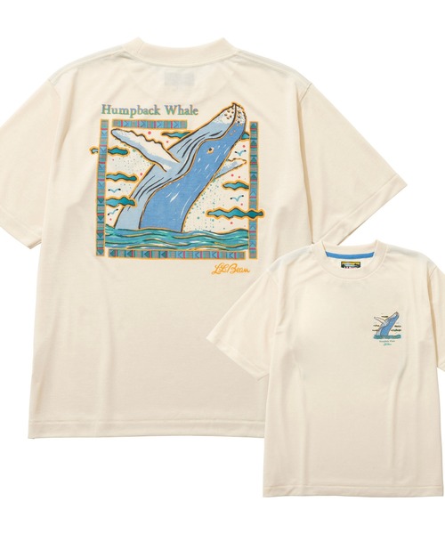 L.L.Bean(エルエルビーン)の「【JAPAN EDITION】ドーバー・フォックスクロフト・ショートスリーブ・ティ(Tシャツ/カットソー・レディース・ホワイト系2/ホワイト系1/ホワイト系・MEDIUM)」の6枚目の写真