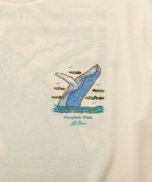 L.L.Bean(エルエルビーン)の「【JAPAN EDITION】ドーバー・フォックスクロフト・ショートスリーブ・ティ(Tシャツ/カットソー・レディース・ホワイト系2/ホワイト系1/ホワイト系・MEDIUM)」の17枚目の写真