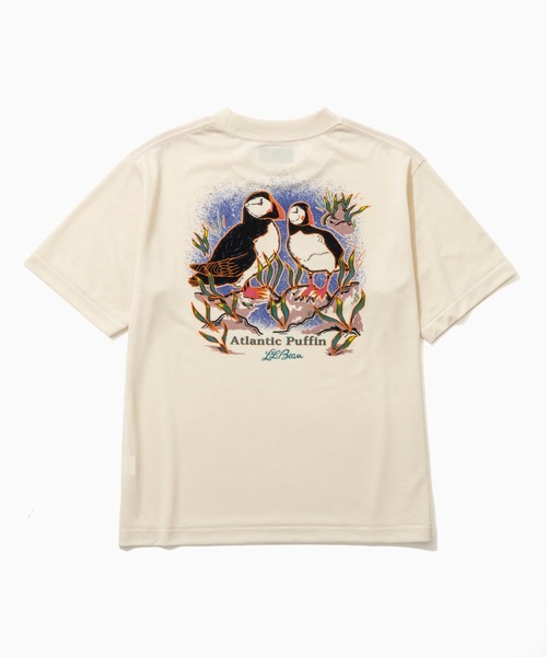 L.L.Bean(エルエルビーン)の「【JAPAN EDITION】ドーバー・フォックスクロフト・ショートスリーブ・ティ(Tシャツ/カットソー・レディース・ホワイト系2/ホワイト系1/ホワイト系・MEDIUM)」の8枚目の写真