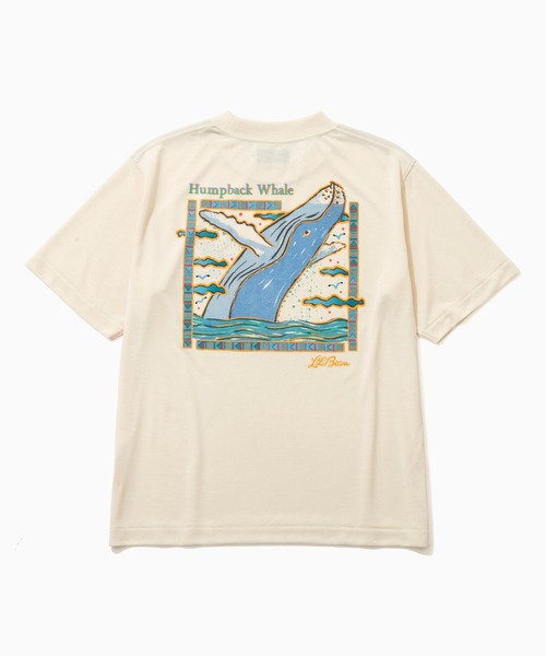 L.L.Bean(エルエルビーン)の「【JAPAN EDITION】ドーバー・フォックスクロフト・ショートスリーブ・ティ(Tシャツ/カットソー・レディース・ホワイト系2/ホワイト系1/ホワイト系・MEDIUM)」の12枚目の写真
