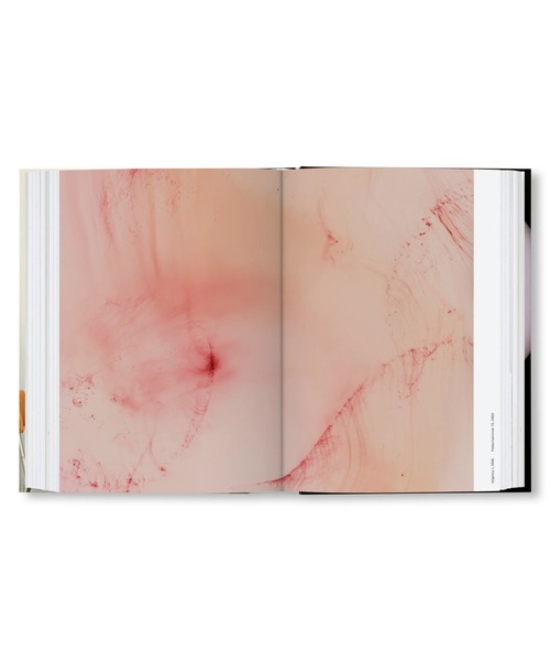 VILLA BOOKS（ヴィラ ブックス）の「WOLFGANG TILLMANS FOUR BOOKS（本・メンズ・その他・FREE）」の7枚目の写真