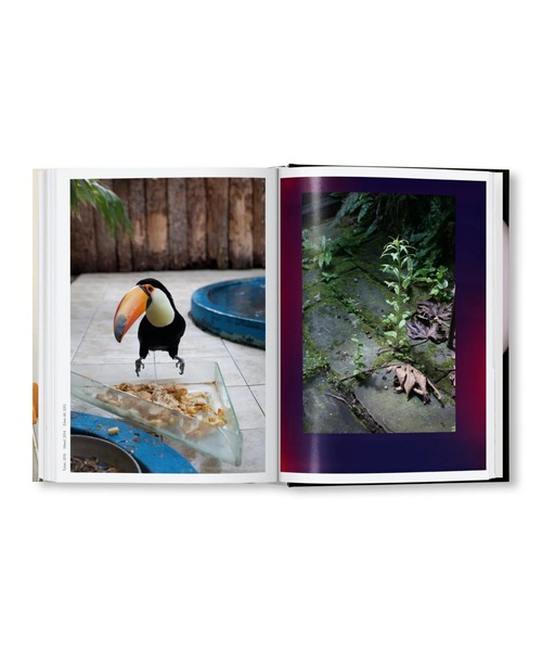 VILLA BOOKS（ヴィラ ブックス）の「WOLFGANG TILLMANS FOUR BOOKS（本・メンズ・その他・FREE）」の9枚目の写真