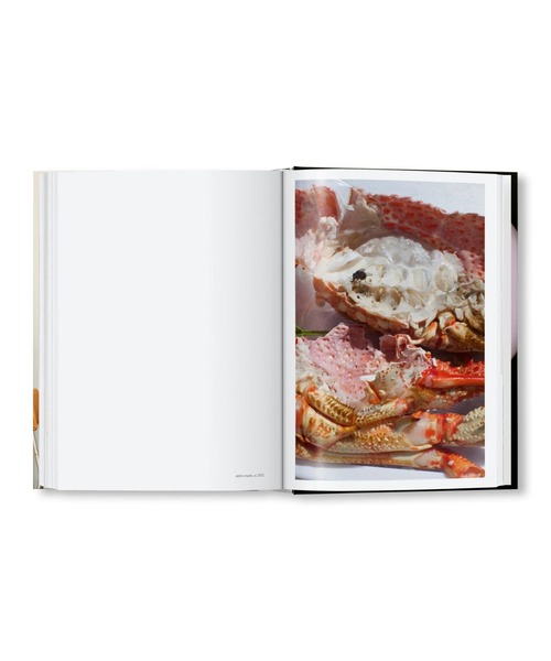 VILLA BOOKS（ヴィラ ブックス）の「WOLFGANG TILLMANS FOUR BOOKS（本・メンズ・その他・FREE）」の11枚目の写真