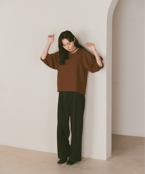 moi tytto（モイテュット）の「ボリューム袖ハーフスリーブシアートップス（Tシャツ/カットソー・レディース・ナチュラル/ブラック/グリーン/ブラウン・FREE）」の16枚目の写真