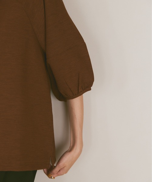 moi tytto（モイテュット）の「ボリューム袖ハーフスリーブシアートップス（Tシャツ/カットソー・レディース・ナチュラル/ブラック/グリーン/ブラウン・FREE）」の15枚目の写真