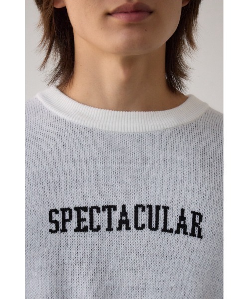 AZUL by moussy(アズールバイマウジー)の「ロゴジャガードニット(ニット/セーター・メンズ・ブラック/ブルー/グレー/ホワイト/ライム/ライトパープル・MEDIUM/LARGE)」の13枚目の写真