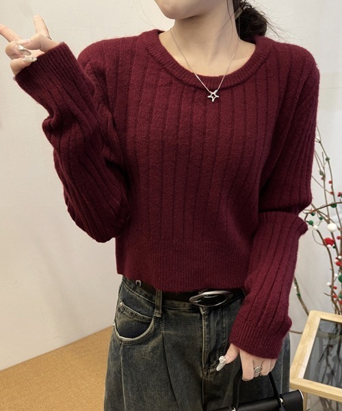 Miniministore(ミニミニストア)の「リブニット トップス きれいめ 長袖(ニット/セーター・レディース・ライトベージュ/ダークベージュ/ワインレッド/ブラック・FREE)」の7枚目の写真