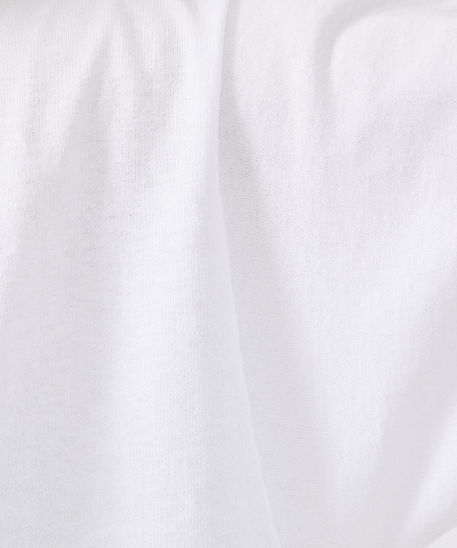 ABAHOUSE（アバハウス）の「【FRUIT OF THE LOOM/フルーツ オブ ザ ルーム】 classic logoTシャツ/vintage logoプリント/【WEB限定】（Tシャツ/カットソー・メンズ・ホワイト系その他/ブラック系その他/グレー系その他/ホワイト系その他2/ブラック系その他2/グレー系その他2・M/L/XL）」の13枚目の写真