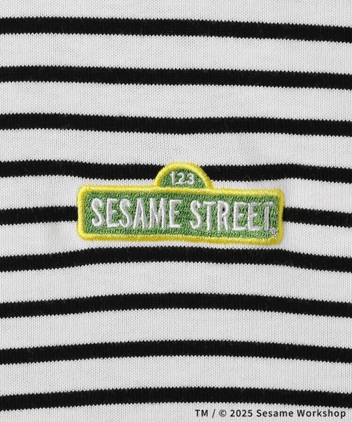 LEPSIM（レプシィム）の「【SESAME STREET／セサミストリート】ボーダーロンT　327104（Tシャツ/カットソー・レディース・グレー/ブルー/グリーン/レッド/ピンク・FREE）」の21枚目の写真
