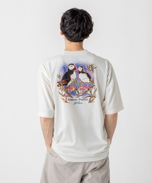 L.L.Bean(エルエルビーン)の「【JAPAN EDITION】ドーバー・フォックスクロフト・ショートスリーブ・ティ(Tシャツ/カットソー・メンズ・ホワイト系2/ホワイト系1/ホワイト系・LARGE/MEDIUM/SMALL)」の5枚目の写真