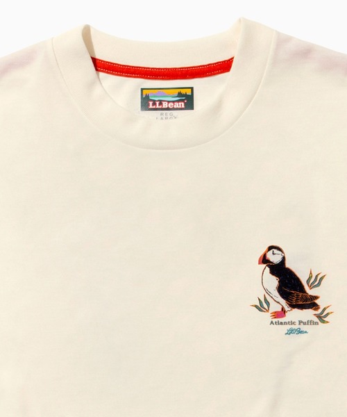 L.L.Bean(エルエルビーン)の「【JAPAN EDITION】ドーバー・フォックスクロフト・ショートスリーブ・ティ(Tシャツ/カットソー・メンズ・ホワイト系2/ホワイト系1/ホワイト系・LARGE/MEDIUM/SMALL)」の15枚目の写真