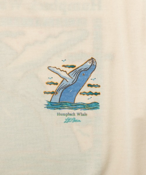 L.L.Bean(エルエルビーン)の「【JAPAN EDITION】ドーバー・フォックスクロフト・ショートスリーブ・ティ(Tシャツ/カットソー・メンズ・ホワイト系2/ホワイト系1/ホワイト系・LARGE/MEDIUM/SMALL)」の21枚目の写真
