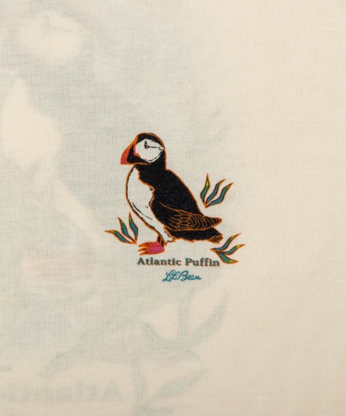 L.L.Bean(エルエルビーン)の「【JAPAN EDITION】ドーバー・フォックスクロフト・ショートスリーブ・ティ(Tシャツ/カットソー・メンズ・ホワイト系2/ホワイト系1/ホワイト系・LARGE/MEDIUM/SMALL)」の17枚目の写真