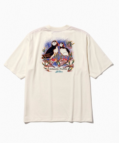 L.L.Bean(エルエルビーン)の「【JAPAN EDITION】ドーバー・フォックスクロフト・ショートスリーブ・ティ(Tシャツ/カットソー・メンズ・ホワイト系2/ホワイト系1/ホワイト系・LARGE/MEDIUM/SMALL)」の10枚目の写真