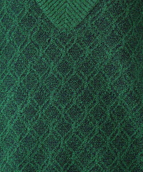 BAYFLOW（ベイフロー）の「ジャガードニットベスト（ベスト・レディース・ベージュ/グリーン・FREE）」の16枚目の写真