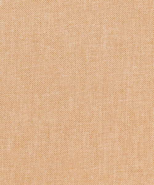 mysty woman(ミスティウーマン)の「リネンライクショートパンツ 275571(その他パンツ・レディース・ベージュ/オレンジ/チャコール・FREE)」の13枚目の写真