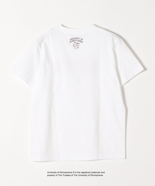 GOOD ROCK SPEED(グッドロックスピード)の「【SHIPS any別注】GOOD ROCK SPEED:〈洗濯機可能〉PENN ロゴ TEE(Tシャツ/カットソー・レディース・ライトグレー/ホワイト・ONE SIZE)」の7枚目の写真
