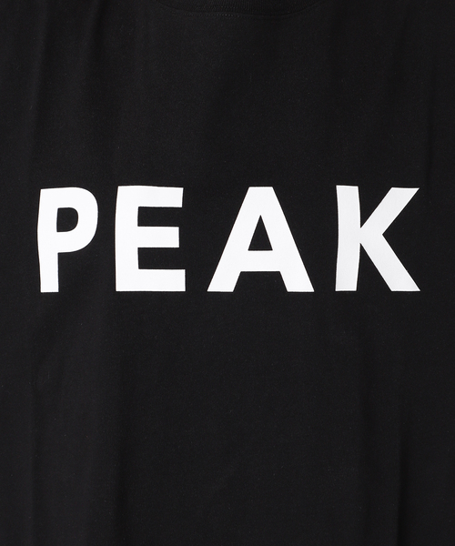 別注【Snow Peak/スノーピーク】Tシャツワンピース snow peak ワンピース 「再入荷！」別注「Snow Peak