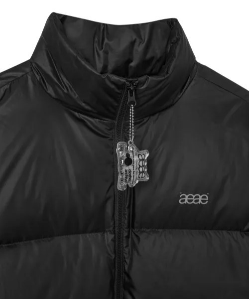 aeae ダウン黒　L size AEAE☆韓国☆人気☆男女兼用☆WEB LOGO DOWN JACKET 2色 (AEAE/ダウン
