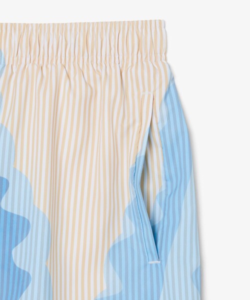 LACOSTE(ラコステ)の「ストライプ&ワニグラフィックスイムショーツ(水着・メンズ・ホワイト×ブルー・M/S/L)」の5枚目の写真