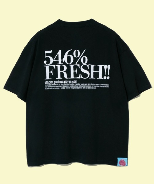 go slow caravan(ゴースローキャラバン)の「546% FRESH! LOGO BIG TEE(Tシャツ/カットソー・メンズ・ブラック/ホワイト・X-LARGE/LARGE/MEDIUM)」の2枚目の写真