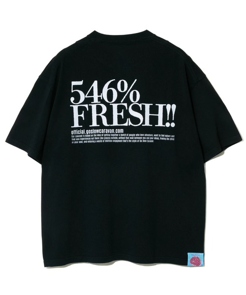 go slow caravan(ゴースローキャラバン)の「546% FRESH! LOGO BIG TEE(Tシャツ/カットソー・メンズ・ブラック/ホワイト・X-LARGE/LARGE/MEDIUM)」の8枚目の写真