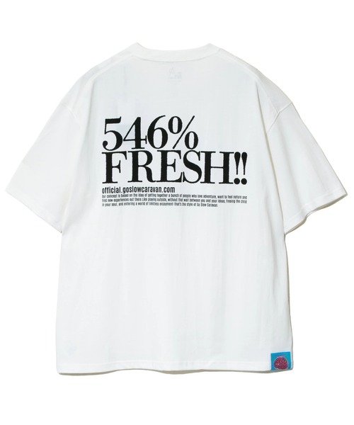 go slow caravan(ゴースローキャラバン)の「546% FRESH! LOGO BIG TEE(Tシャツ/カットソー・メンズ・ブラック/ホワイト・X-LARGE/LARGE/MEDIUM)」の12枚目の写真