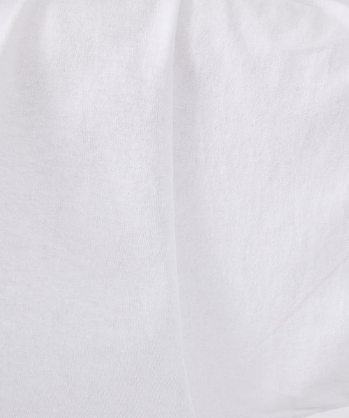FRUIT OF THE LOOM(フルーツオブザルーム)の「【FRUIT OF THE LOOM/フルーツ オブ ザ ルーム】USAコットンPrint T-Shirt/両面プリントTシャツユニセックス【WEB限定】(Tシャツ/カットソー・メンズ・ホワイト系その他/グレー系その他2/ブラック系その他2/ホワイト系その他2/グレー系その他/ブラック系その他・XL/L/M)」の21枚目の写真