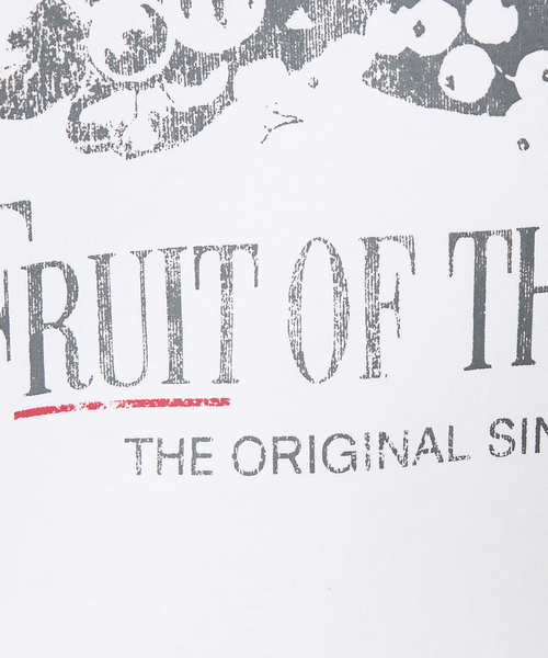 FRUIT OF THE LOOM(フルーツオブザルーム)の「【FRUIT OF THE LOOM/フルーツ オブ ザ ルーム】USAコットンPrint T-Shirt/両面プリントTシャツユニセックス【WEB限定】(Tシャツ/カットソー・メンズ・ホワイト系その他/グレー系その他2/ブラック系その他2/ホワイト系その他2/グレー系その他/ブラック系その他・XL/L/M)」の11枚目の写真