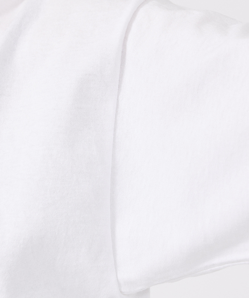 FRUIT OF THE LOOM(フルーツオブザルーム)の「【FRUIT OF THE LOOM/フルーツ オブ ザ ルーム】USAコットンPrint T-Shirt/両面プリントTシャツユニセックス【WEB限定】(Tシャツ/カットソー・メンズ・ホワイト系その他/グレー系その他2/ブラック系その他2/ホワイト系その他2/グレー系その他/ブラック系その他・XL/L/M)」の12枚目の写真