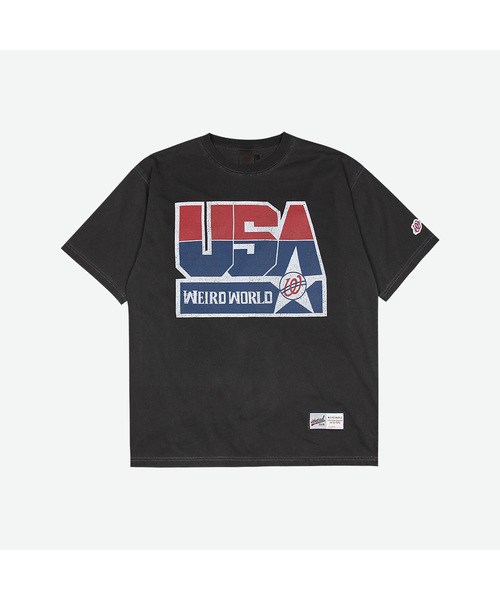 WEIRDWORLD(ウィアード ワールド)の「1996 ドリームチーム ピグメントTシャツ(Tシャツ/カットソー・レディース・グレー・MEDIUM/LARGE/X-LARGE)」の1枚目の写真