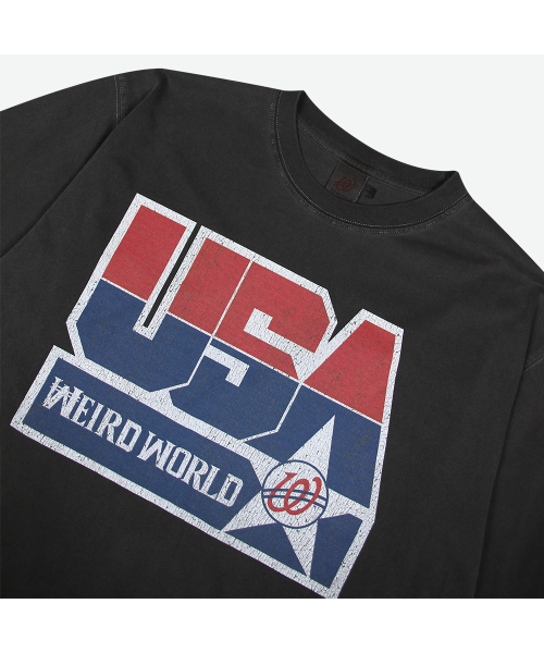 WEIRDWORLD(ウィアード ワールド)の「1996 ドリームチーム ピグメントTシャツ(Tシャツ/カットソー・レディース・グレー・MEDIUM/LARGE/X-LARGE)」の3枚目の写真