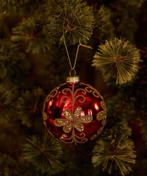 niko and...(jRAh)́y2024Xmaszbht[I[ig(CeAG)