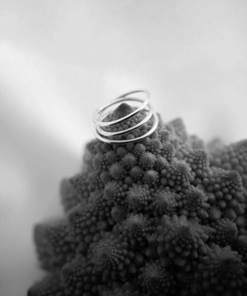 SMELLY（スメリー）の「SMELLY so’　narrow line ring（リング・レディース・シルバー・13）」の14枚目の写真