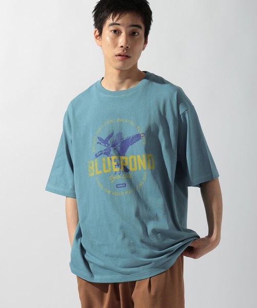 セール】アニマルフォトプリントTシャツ（Tシャツ/カットソー