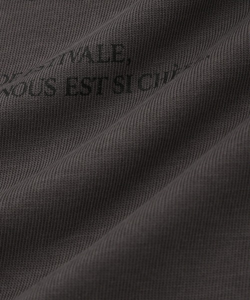 ROPE' PICNIC(ロペピクニック)の「袖フリルカレッジロゴTシャツ(Tシャツ/カットソー・レディース・オフホワイト/チャコールグレー/グリーン/ブルー系その他4・38)」の12枚目の写真