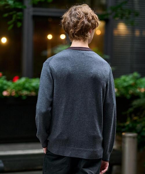 DRESSTERIOR(ドレステリア)の「エンブロイダリー ニットカーディガン(カーディガン/ボレロ・メンズ・グレー/ネイビー・92/91/90/94)」の17枚目の写真