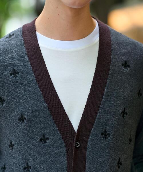 DRESSTERIOR(ドレステリア)の「エンブロイダリー ニットカーディガン(カーディガン/ボレロ・メンズ・グレー/ネイビー・92/91/90/94)」の18枚目の写真