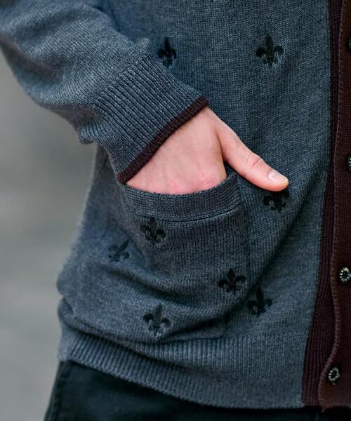DRESSTERIOR(ドレステリア)の「エンブロイダリー ニットカーディガン(カーディガン/ボレロ・メンズ・グレー/ネイビー・92/91/90/94)」の19枚目の写真