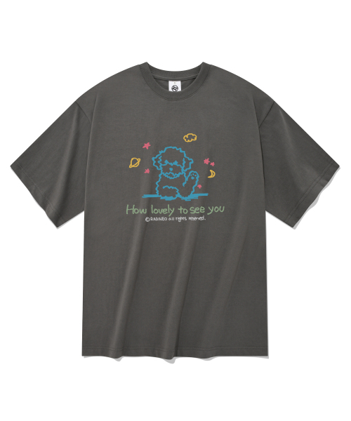 RADINEO(ラディネオ)の「ラブリー半袖Tシャツグレー(Tシャツ/カットソー・メンズ・その他・SMALL/MEDIUM/LARGE/X-LARGE)」の1枚目の写真