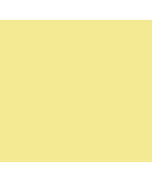 CAMELLIA V-NECK - LEMON