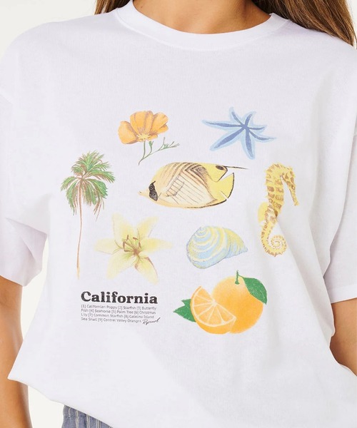 rip curl（リップカール）の「RIP CURL/リップカール 半袖 Tシャツ レディース POOLSIDE HERITAGE TEE 0M4WTE（Tシャツ/カットソー・レディース・ホワイト・S/XS）」の7枚目の写真