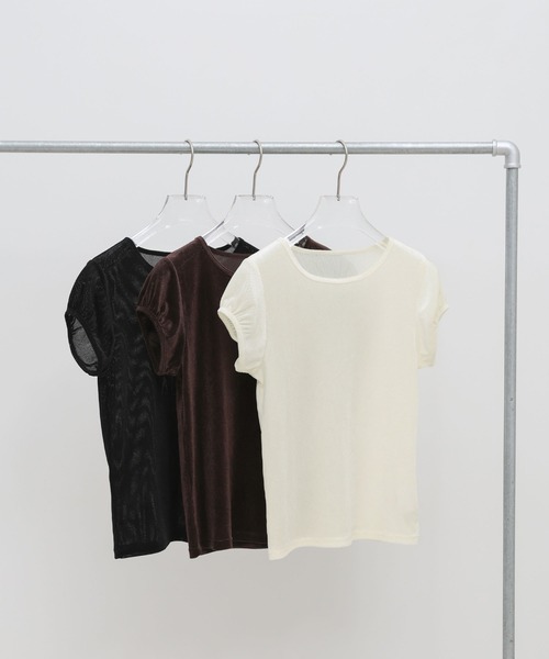 select MOCA(セレクトモカ)の「ベロアミニスリーブTシャツ(Tシャツ/カットソー・レディース・ブラウン/アイボリー/ブラック・FREE)」の16枚目の写真