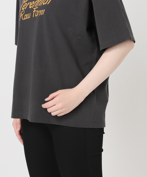 TICCA(ティッカ)の「別注【TICCA / ティッカ】Perennial TEE(Tシャツ/カットソー・レディース・ブラウン/ホワイト・FREE)」の15枚目の写真