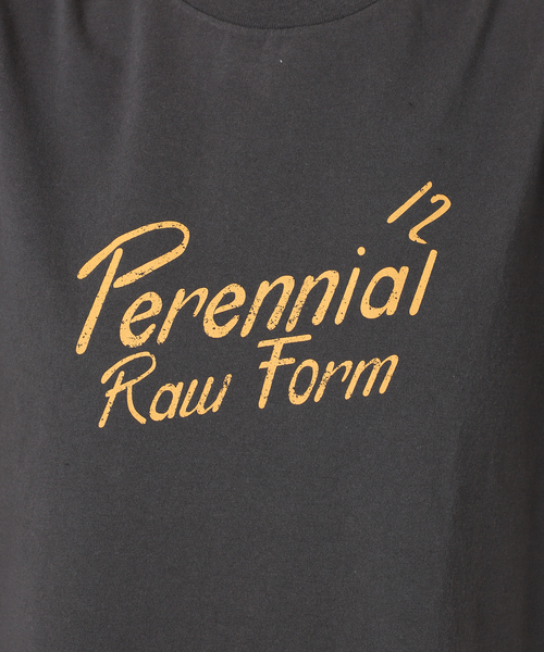 TICCA(ティッカ)の「別注【TICCA / ティッカ】Perennial TEE(Tシャツ/カットソー・レディース・ブラウン/ホワイト・FREE)」の16枚目の写真