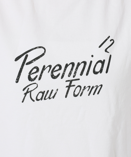 TICCA(ティッカ)の「別注【TICCA / ティッカ】Perennial TEE(Tシャツ/カットソー・レディース・ブラウン/ホワイト・FREE)」の20枚目の写真