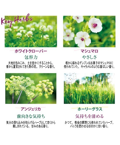 エルバブランシュ オードトワレ 50mL（香水）｜L'OCCITANE